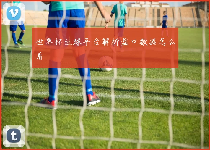 世界杯让球平台解析盘口数据怎么看