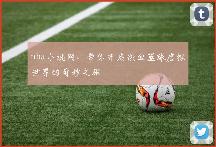 nba小说网，带你开启热血篮球虚拟世界的奇妙之旅