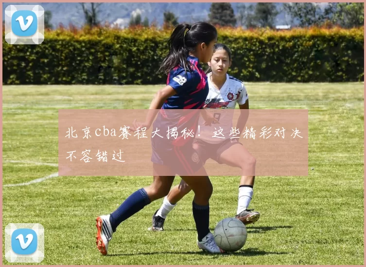 北京cba赛程大揭秘！这些精彩对决不容错过